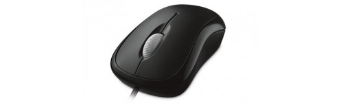 Souris